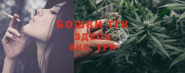 ECSTASY Новозыбков