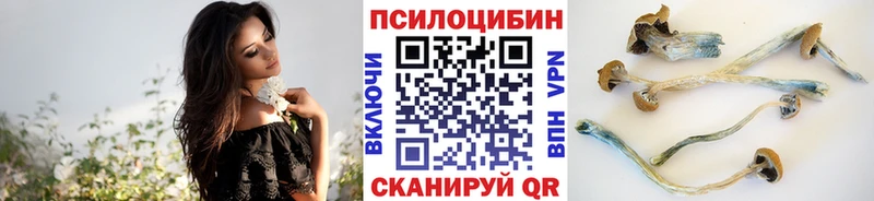 Галлюциногенные грибы Cubensis  наркота  shop состав  Качканар 