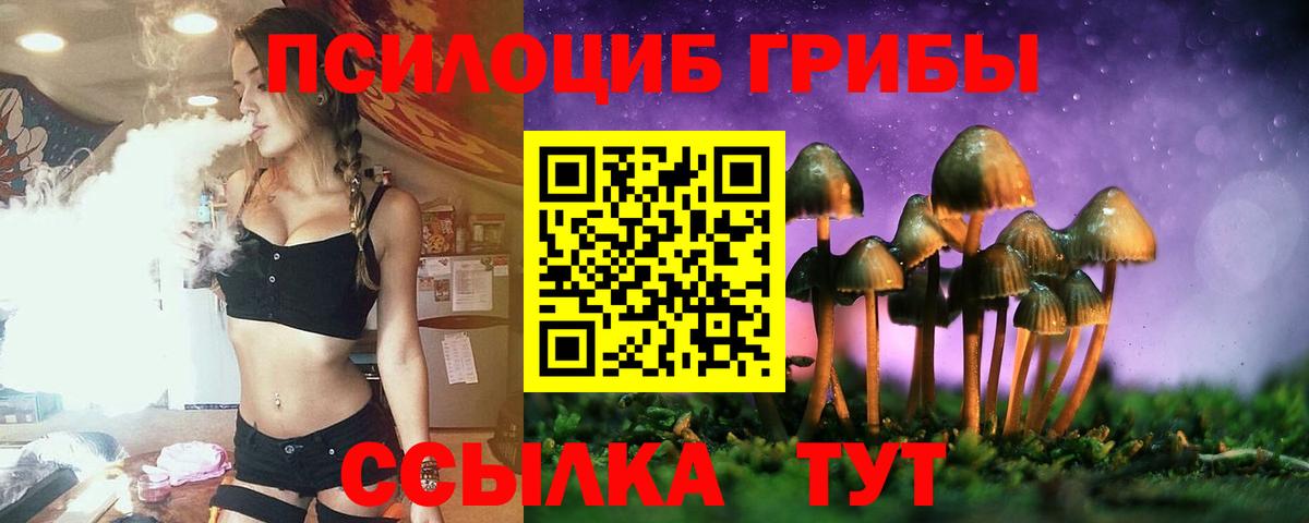 Галлюциногенные грибы прущие грибы  Вход с VPN  Качканар 